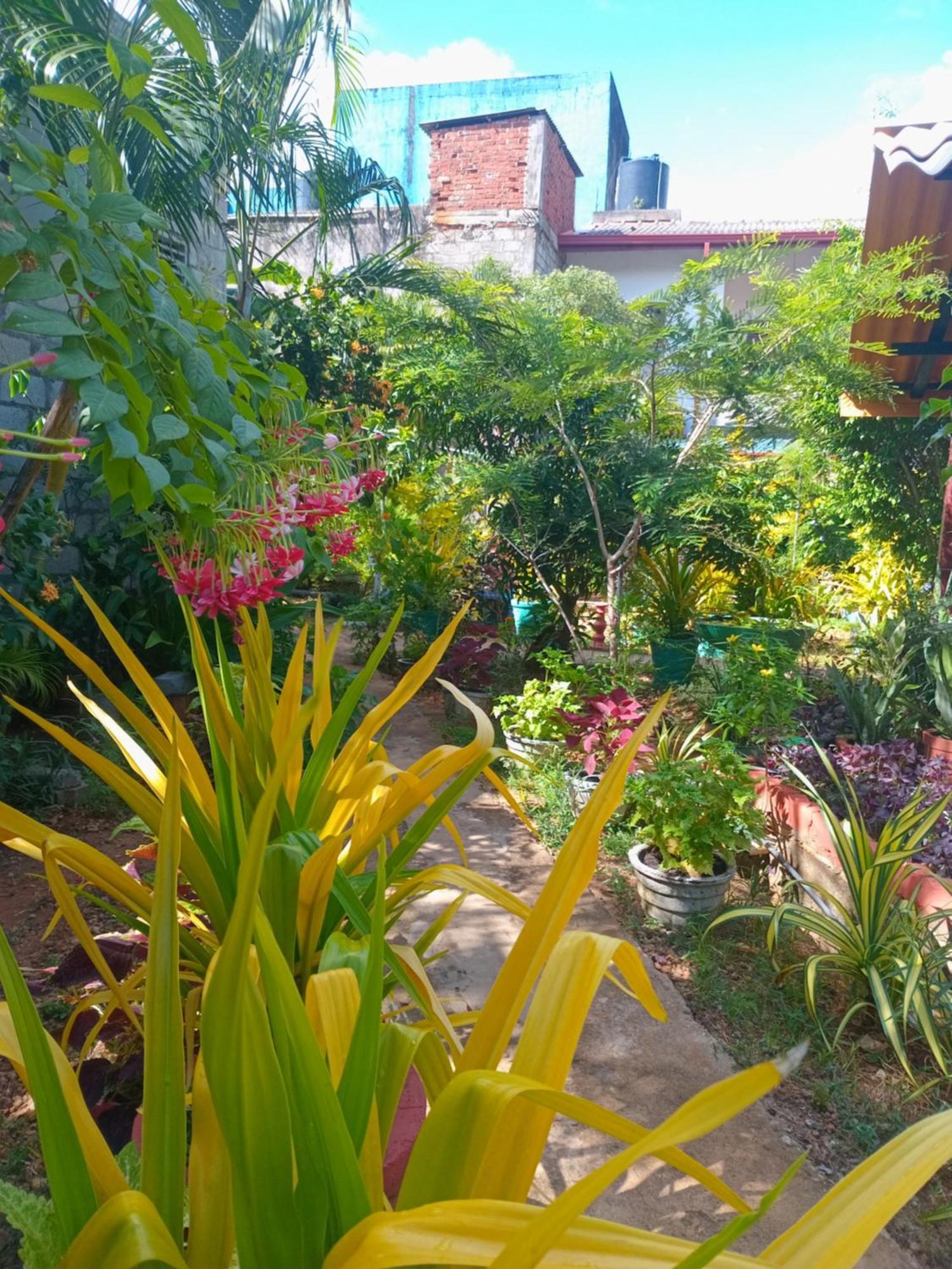 City Paradise Dambulla Exterior foto